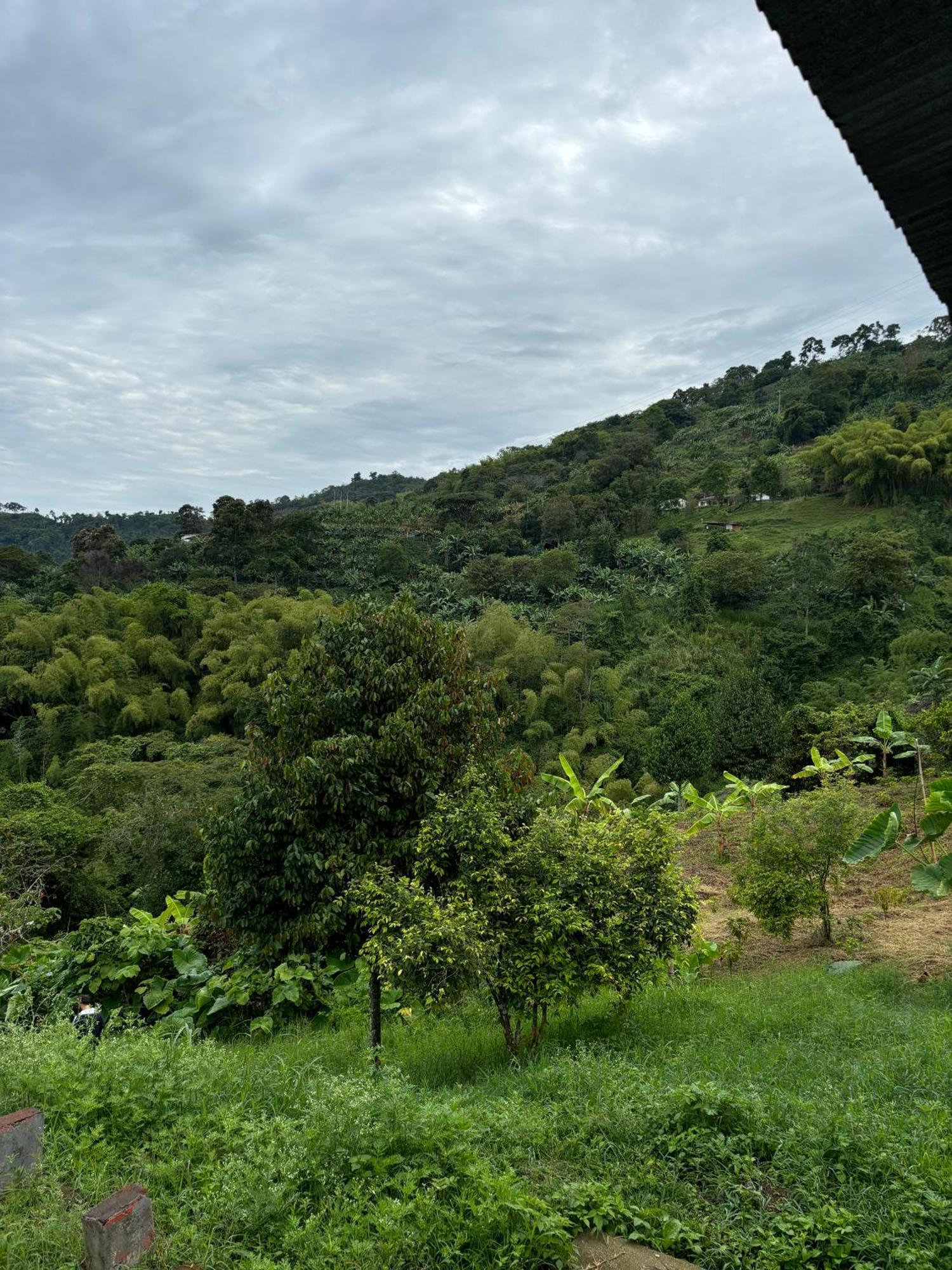 La Macarena By Welttisch Genova (Quindio)