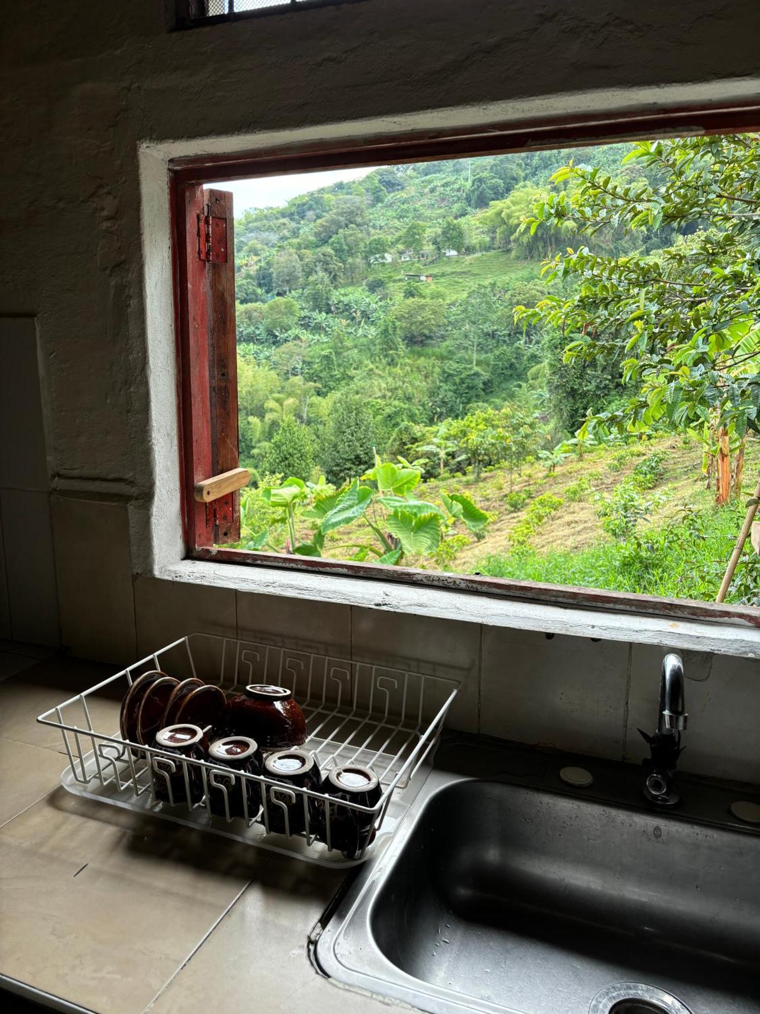 La Macarena By Welttisch * Genova (Quindio)