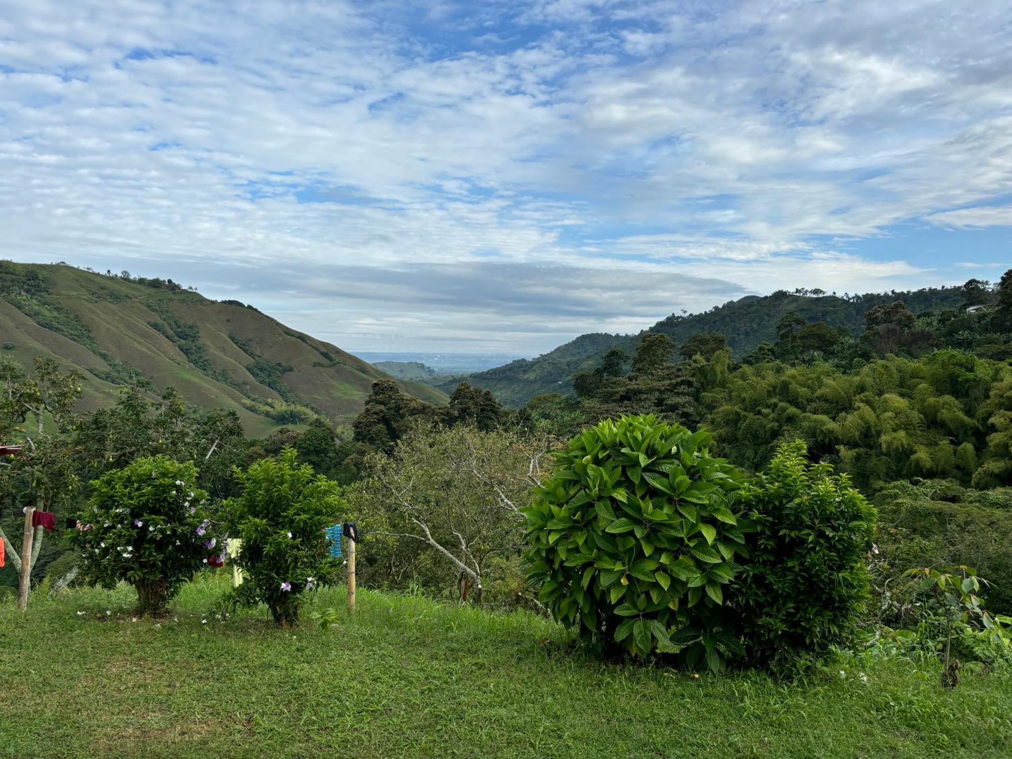 La Macarena By Welttisch * Genova (Quindio)